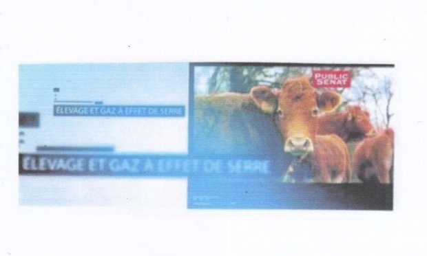 Pétition : IMPACT de l'ELEVAGE sur le RECHAUFFEMENT CLIMATIQUE : Pour une INTERDICTION immédiate et totale de l'ELEVAGE industriel et INTENSIF et une REDUCTION drastique de l'ELEVAGE traditionnel des animaux