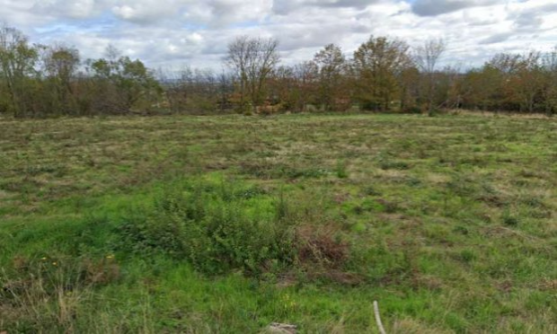 Pétition : NON au projet d'un hôtel sur une ancienne forêt