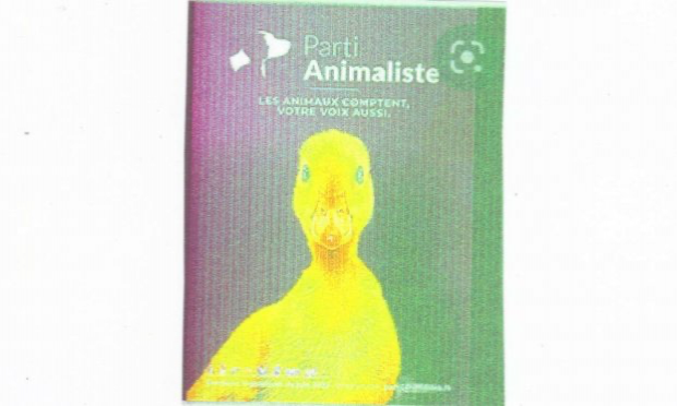 Pétition : Pétition contre l’incitation au passage à l’acte chez les pédophiles abstinents ou passifs / Petition against the encouragement of passive or abstinent pedophiles.