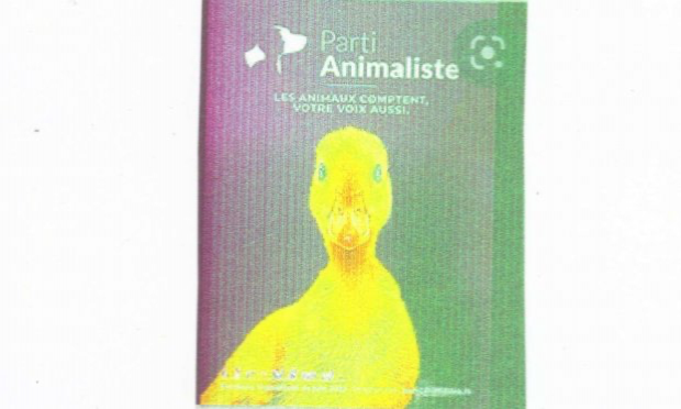 Pétition : Appel au boycott de tous les produits d'origine animale : viande, charcuterie, oeufs, lait, poissons et fruits de mer et leurs dérives : si vous arrêtez d'acheter, on arrête de tuer !