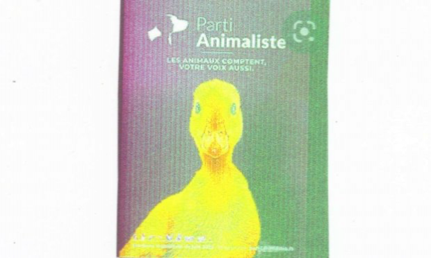 Pétition : TARASCON-LA HONTE : Ce n'est pas LA JUSTICE, mais L'A-JUSTICE qui a été rendue  !