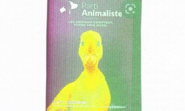 Pétition : Alerte abattoirs : Scandaleux : La vidéo-surveillance votée en janvier 2017 supprimée du PROJET de LOI actuel  ! Mobilisons-nous  et AGISSONS  !