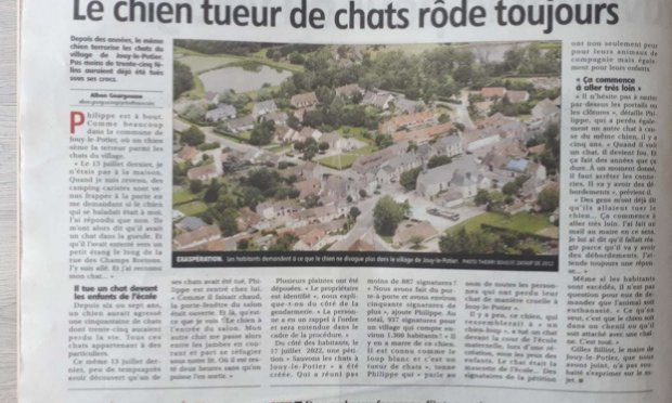 Pétition : Sauvons les chats à Jouy le Potier !