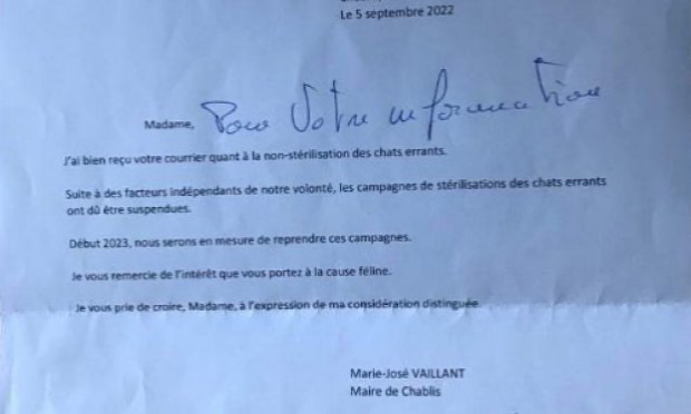 Pétition : Stop à la non stérilisation des chats errants de Chablis !