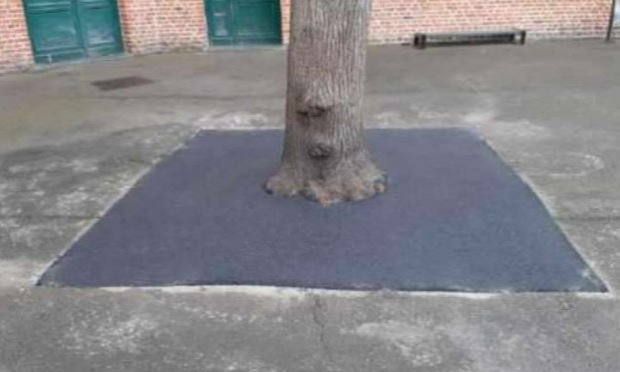 Pétition : Pour la fin du bitume dans la fabrication des routes