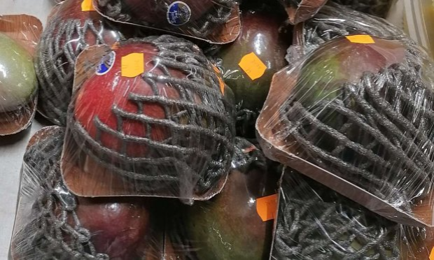 Pétition : Stop aux emballages plastiques qui polluent les océans, l'air, les sols. Il faut y mettre fin, MAINTENANT