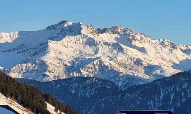 Pétition : Pléiadiens, les rencontrer physiquement