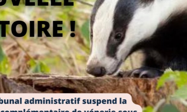 Pétition : Vénerie sous terre du blaireau :  NON à l’obstination déraisonnable de la préfecture d’Ille-et-Vilaine.