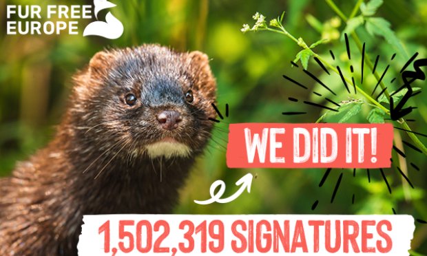 Pétition : Interdiction des ventes de fourrures animales à Paris