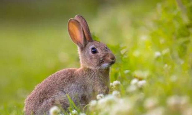 Petition : Pour rétablir le nom de l'école maternelle Carnot plutôt que 'Jean-Charles-de-Castelbajac'.