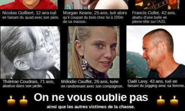 Pétition : Demandons l'arrêt de toutes les chasses dangereuses et inutiles