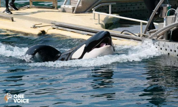 Pétition : Les enseignants du second degré affectés dans l’enseignement supérieur en colère !