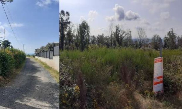 Pétition : NON au projet d'un hôtel sur une ancienne forêt