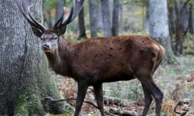 Pétition : 23 avril - 7 mai 2017 : union des patriotes