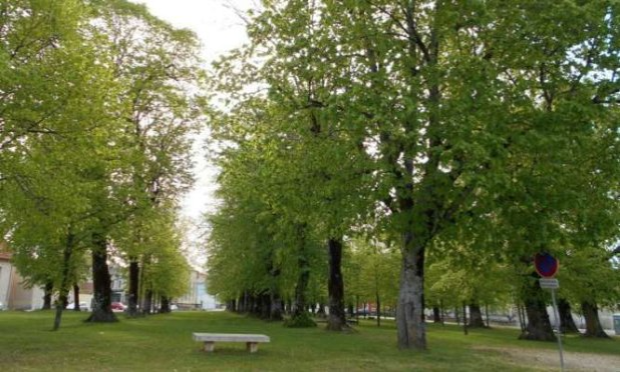 Pétition : Tous contre la fermeture de classe à Blamont