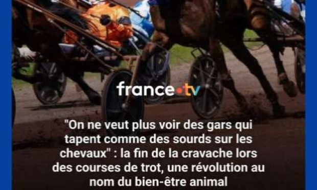 Pétition : En marche vers une évolution radicale des droits des animaux en France