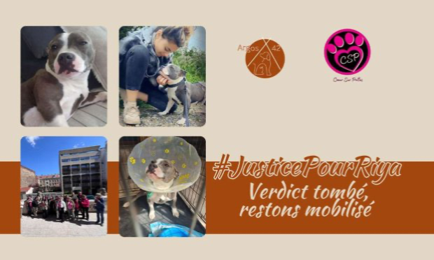 Pétition : Justice pour Riya, victime de maltraitance, et soutien à Diane Gouhier