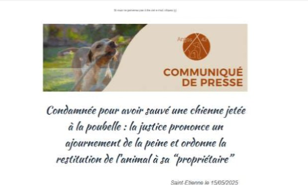 Pétition : Justice pour Riya, victime de maltraitance, et soutien à Diane Gouhier