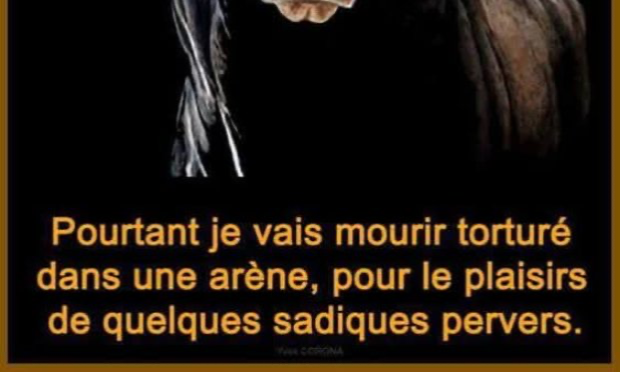 Pétition : Pour que les actes de cruauté envers les animaux soient considérés comme un crime