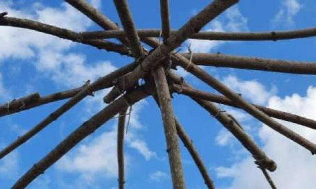 Petition : La démocratie ne se défend pas seule : restons vigilants !