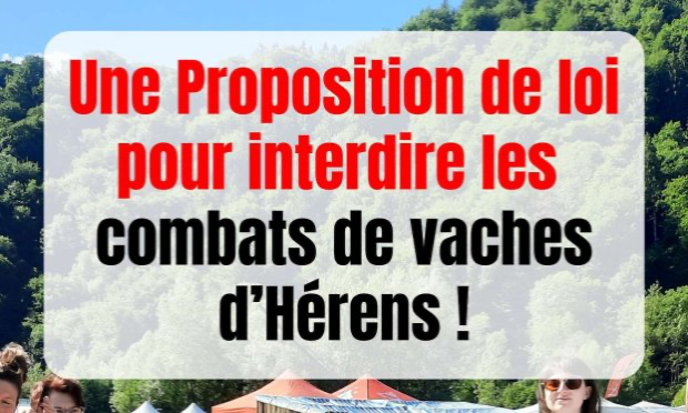 Pétition : Interdisons les combats de vaches hérens ('batailles de reines') !