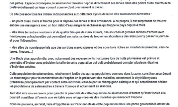 Pétition : Sauvons l’habitat de la salamandre à Binche