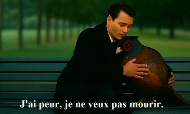 Pétition : Stop aux lâchers massifs de faisans et de canards pour des chasses privées à Lasne