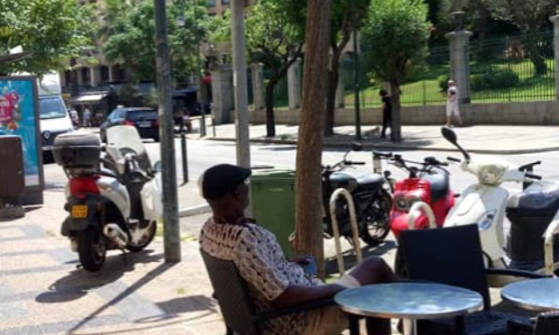 Pétition : Monsieur le Maire d'Ajaccio, nous demandons des arbres pour l'ombre, la fraicheur, l'oxygène et la beauté nature sur le cours Napoléon.