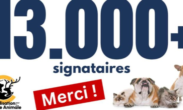 Pétition : Ouvrons les forêts du souvenir à tous - animaux et humains !