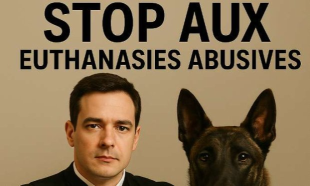 Pétition : Alerter les pouvoirs publics sur l’euthanasie des chiens en France !