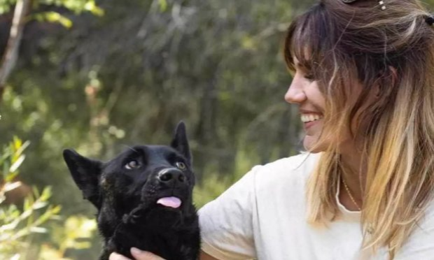 Pétition : Après l'euthanasie de Smoke par la SPA, nous demandons la démission de M. Fombonne