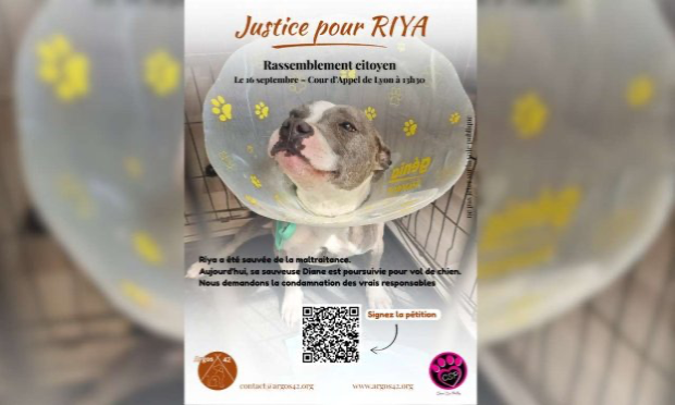 Pétition : Justice pour Riya, victime de maltraitance, et soutien à Diane Gouhier
