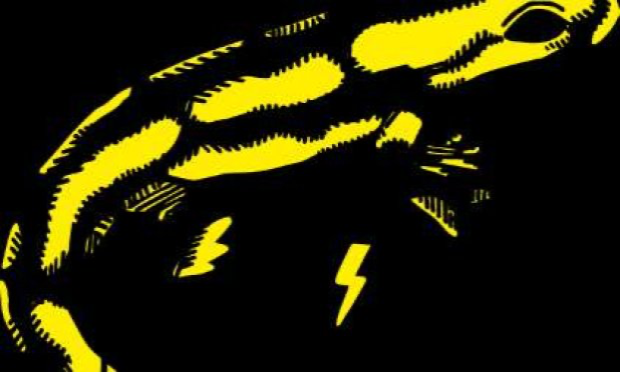 Pétition : 200 hectares de panneaux photovoltaïques sur des terres agricoles et naturelles du Causse Comtal à Salles la Source, Muret-le-Château et Rodelle, 22 associations disent non !