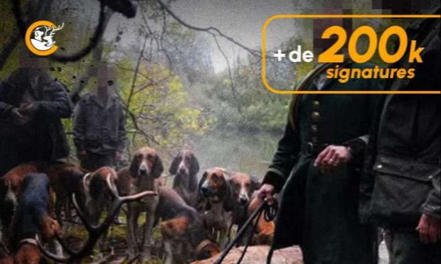Pétition : Pour l'abolition de la chasse à courre