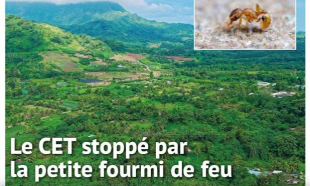 Petition : Ne sacrifiez pas la vallée de Faaroa pour un centre d'enfouissement de déchets