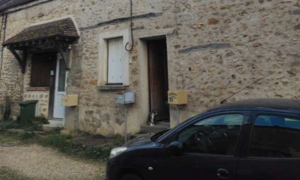 Petition : Un chat n'est pas une valise! Libérer 4 chats d'un studio transformé en entrepôt!