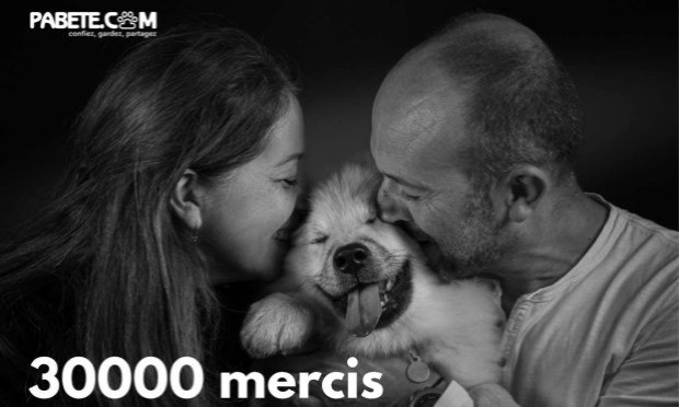 Petition : Des milliers d’animaux abandonnés chaque été : La solidarité peut les sauver