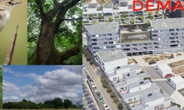 Petition : Pour la protection du dernier espace naturel urbain entre Blagnac et Beauzelle : sauvons notre poumon vert et des espèces en danger !