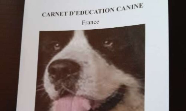 Petition : Pour une éducation canine obligatoire pour tous les chiens !