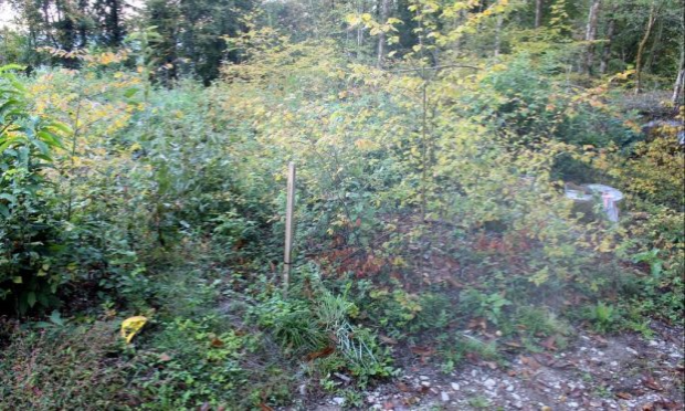 Petition : Non à l'implantation d'une antenne 5G sur la commune de Grignon Savoie)