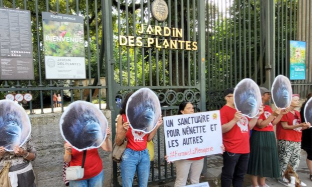 Petition : Fermons la Ménagerie, le zoo du Jardin des Plantes de Paris