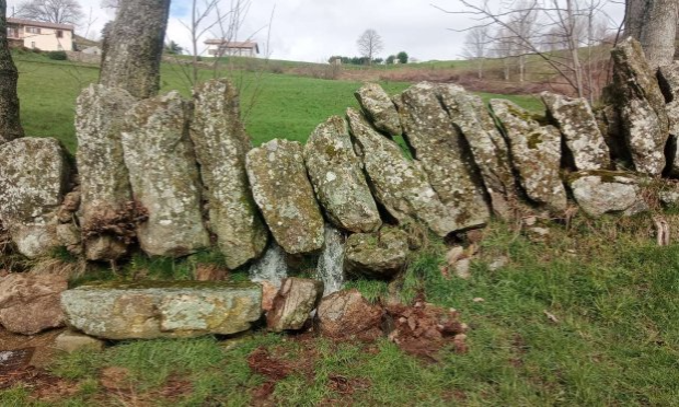 Petition : Sos zone humide en danger