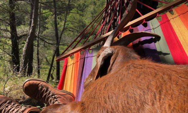 Petition : Sauvons le refuge de Mauricette