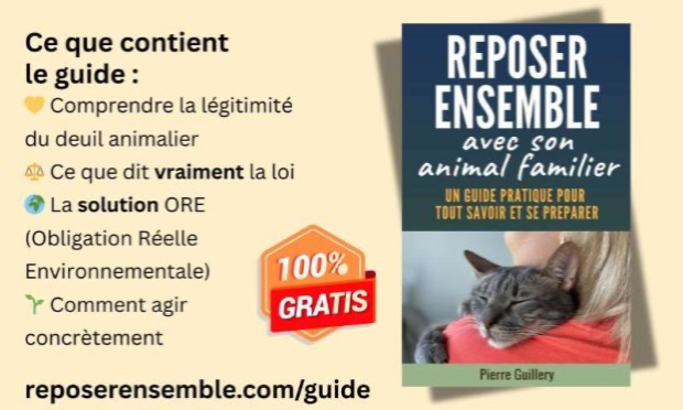 Petition : Ouvrons les forêts du souvenir à tous - animaux et humains !