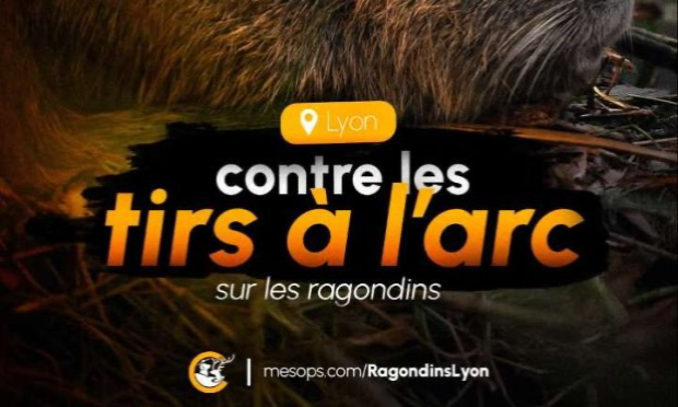 Petition : Stop à la chasse aux ragondins à Lyon