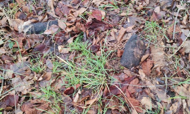 Petition : Les Bois et Forêts d'Île-de-France en danger Sauvons nos poumons verts