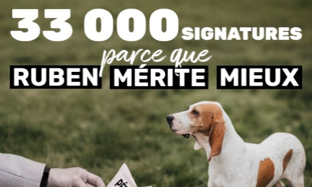 Petition : Ruben : NON à sa restitution !