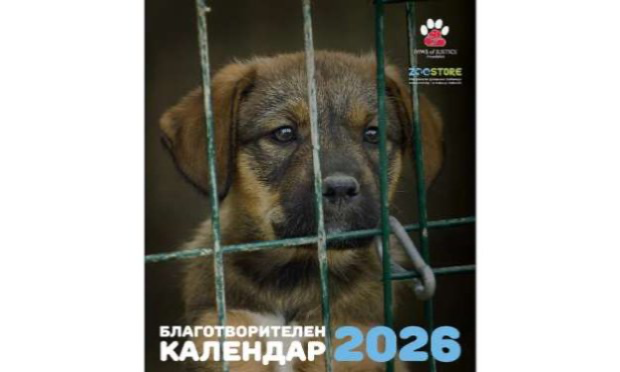 Petition : 330 dogs in danger before winter: a shelter needs your help in Bulgaria