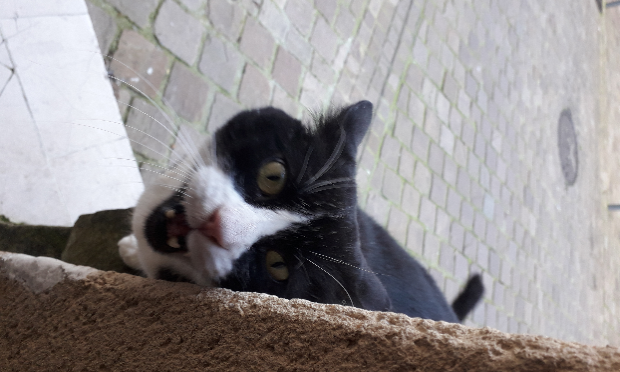 Petition : Pacte numérique pour l'Indépendance et la Sécurité Internet de la France