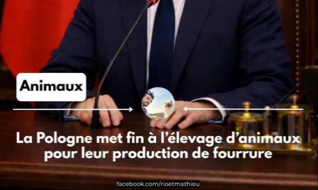 Petition : En marche vers une évolution radicale des droits des animaux en France